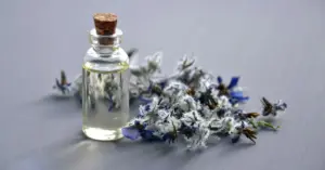 A bottle of essential oil with dried flowers around it